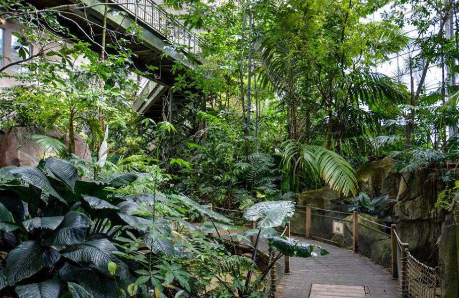 Montpellier Zoological Park , , France